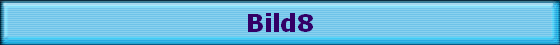 Bild8